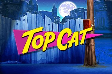 Top Cat Slot Game Review
