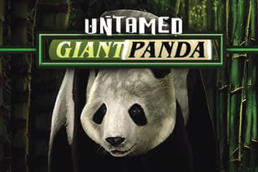 Untamed Giant Panda Slot Game Review