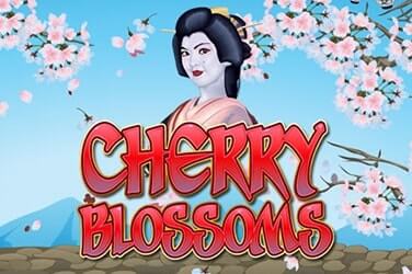 Cherry Blossoms slot game Review