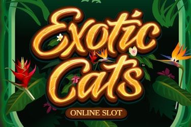 Exotic Cats Slot Game Review